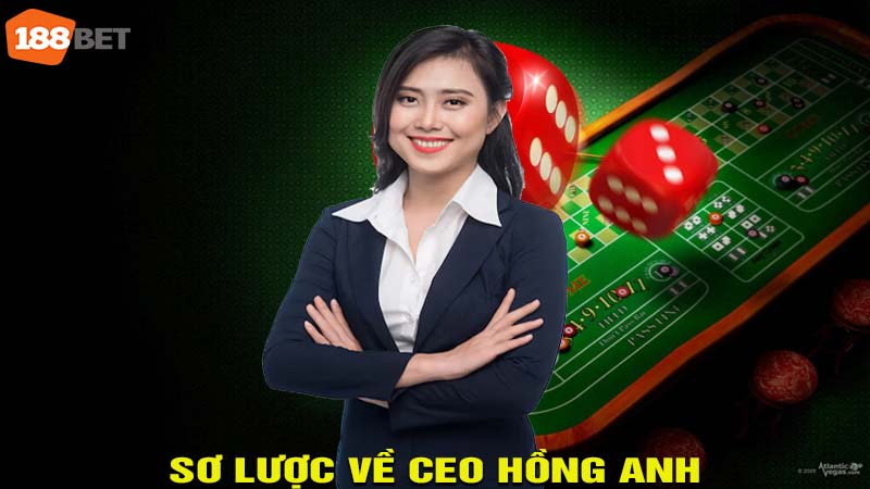 Sơ lược về CEO Hoàng Anh